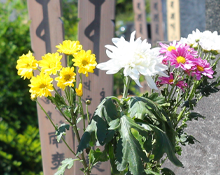 大切なお墓を、丁寧にプロの手で心を込めて清掃しますイメージ01