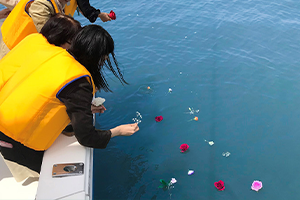 散骨、お引越しのお手伝い