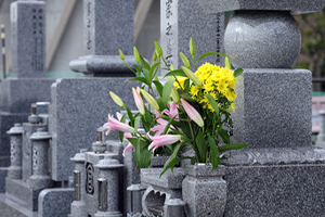 お墓の確認、文字原稿作成