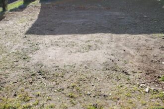 【外構・整地工事】額田郡幸田町 Before