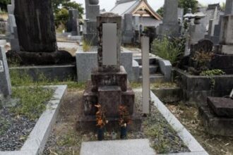 【墓石クリーニング】岡崎市対応|大府市|寺院墓地|墓石クリーニング・洗浄|施工事例 Before